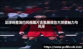 引导注意